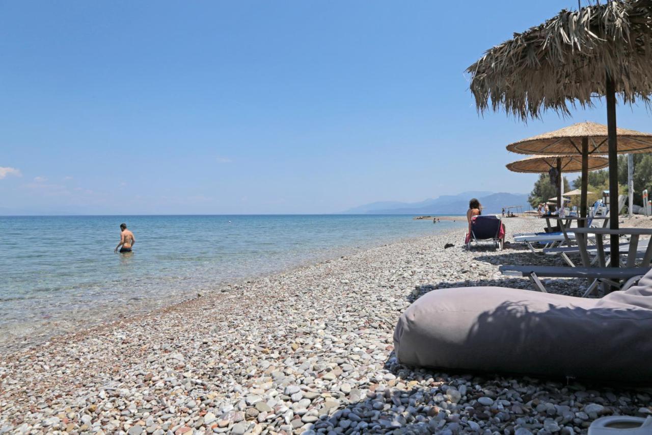 Oliva Holiday Homes Dhiyellótika Екстериор снимка